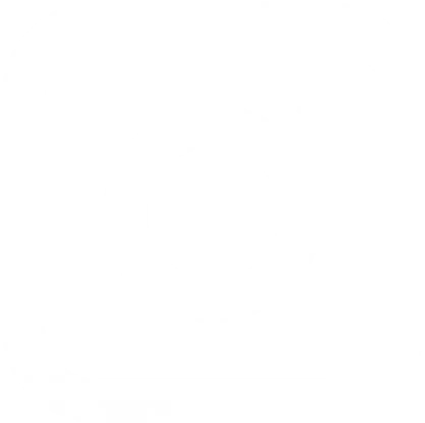 Instagram ikoni